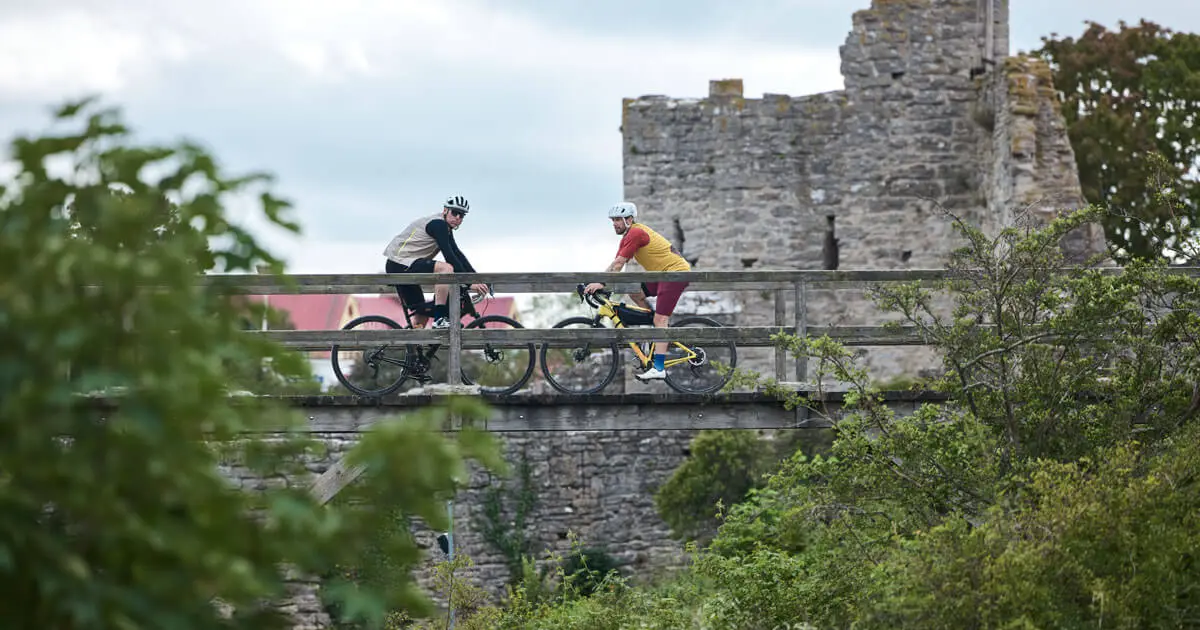 Vai Vai Visby logotyp